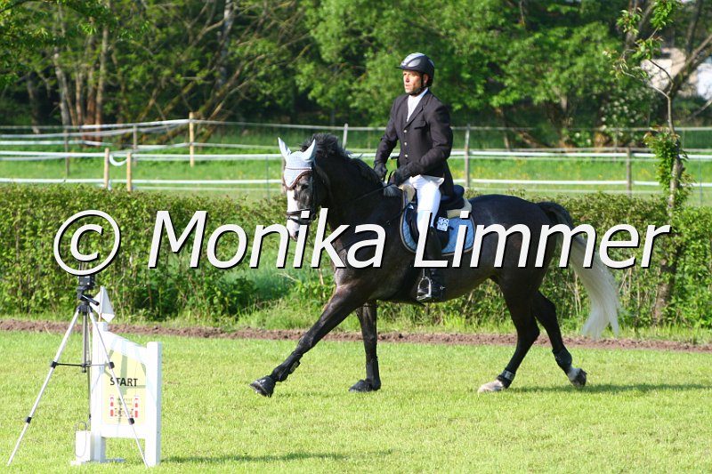 005M3767_JPs Cora_Springpferde A.JPG